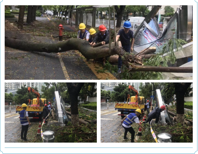 管家婆期期四肖四码中特管家