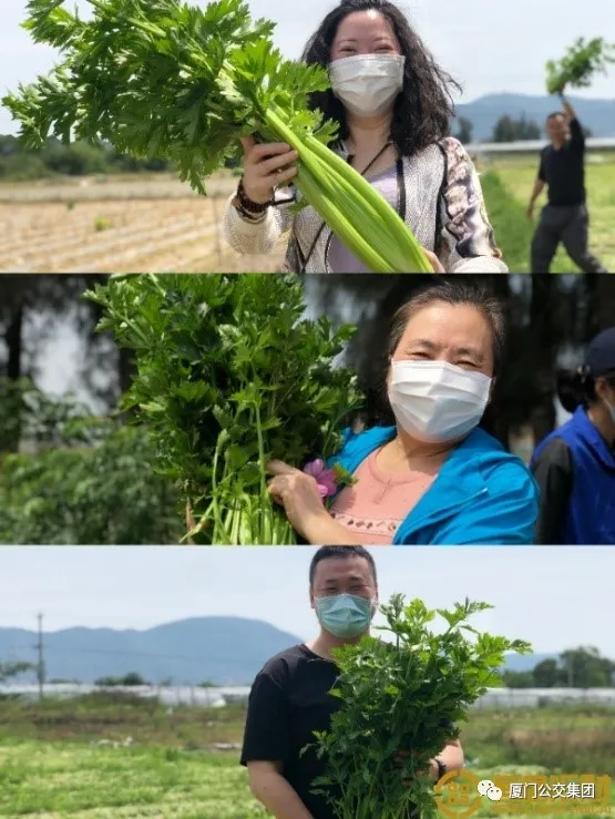 管家婆期期四肖四码中特管家